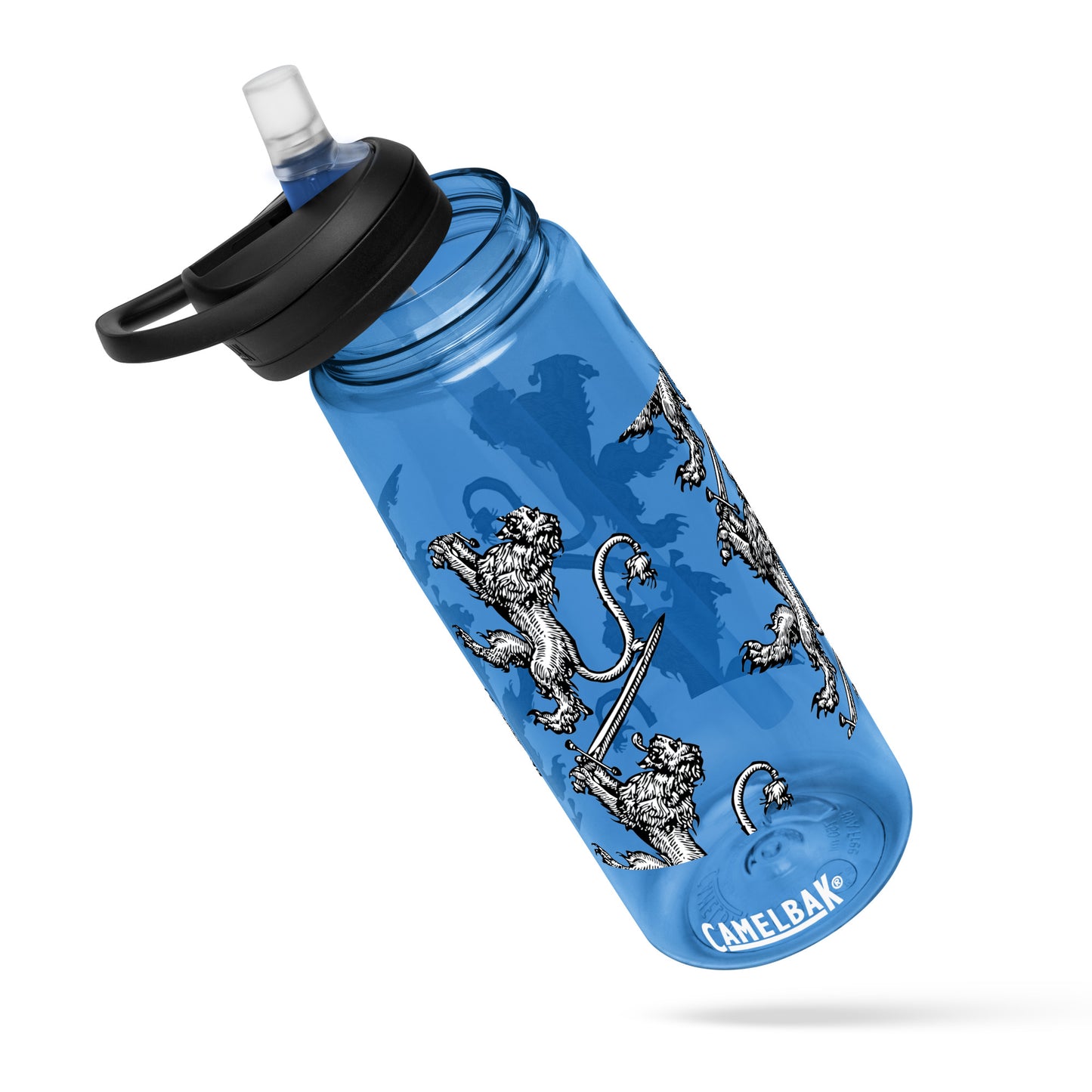 Sports water bottle